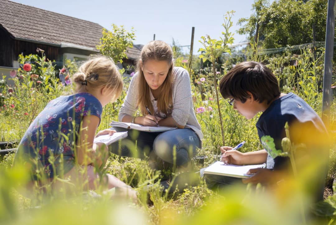 Máster Universitario Online en Educación Emocional y Acompañamiento Pedagógico